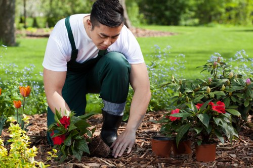 Professional tree and shrub care services in Shortlands
